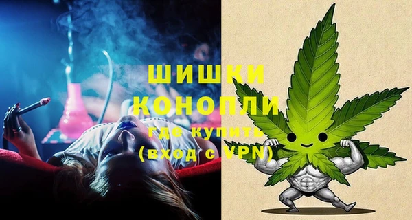 соль ск Белокуриха