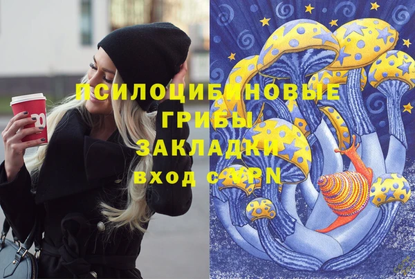 дживик Бородино