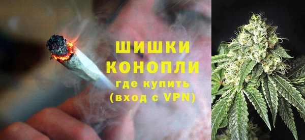 соль ск Белокуриха