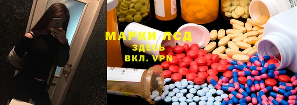 твердый Богданович