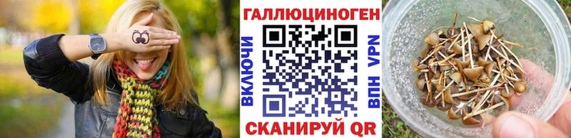 даркнет сайт  Валуйки  Псилоцибиновые грибы Psilocybe 